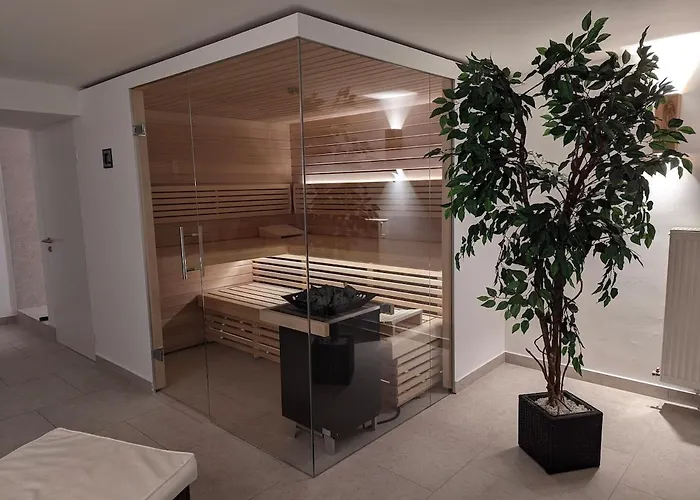 公寓 An Der Bode 2 Mit Terrasse Und Sauna